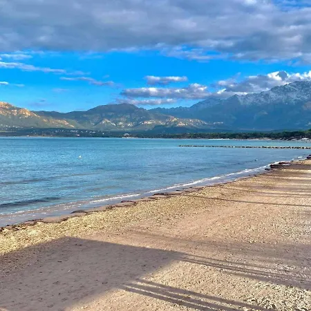 2 Pieces A Avec Terrasse Et Parking - Fr-1-63-261 * Calvi (Corsica)